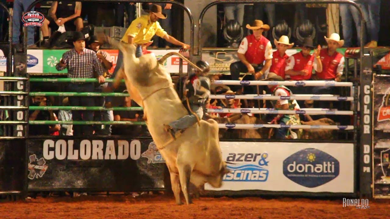 Montaria em bois em um rodeio country, destacando competidores e o espírito do evento.