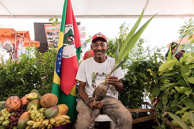 Cultura e Tradições do Campo