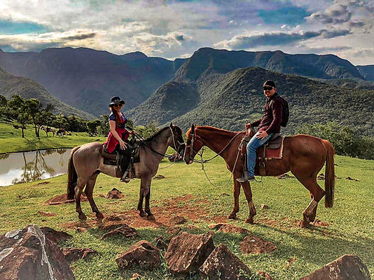Cavaleiro montando em um cavalo em meio a um lindo campo americano
