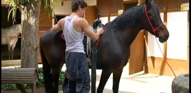 Cavalo em um ambiente rural, simbolizando cuidado e segurança.
