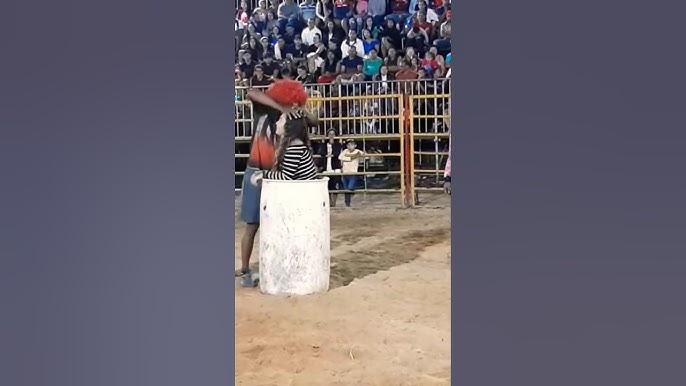 Imagem de provas de rodeio na roça, mostrando competidores em ação com cavalos e gado.