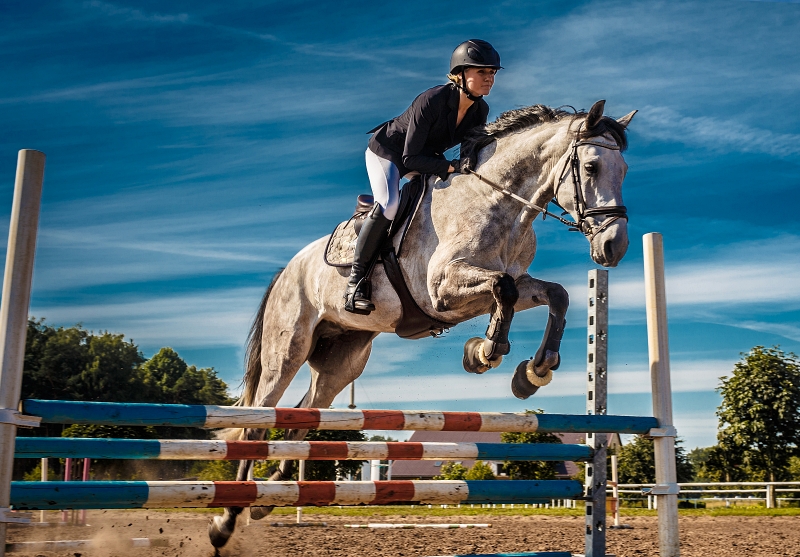 Cavaleiro competindo em evento de hipismo equestre em um campo aberto, com atmosfera country.