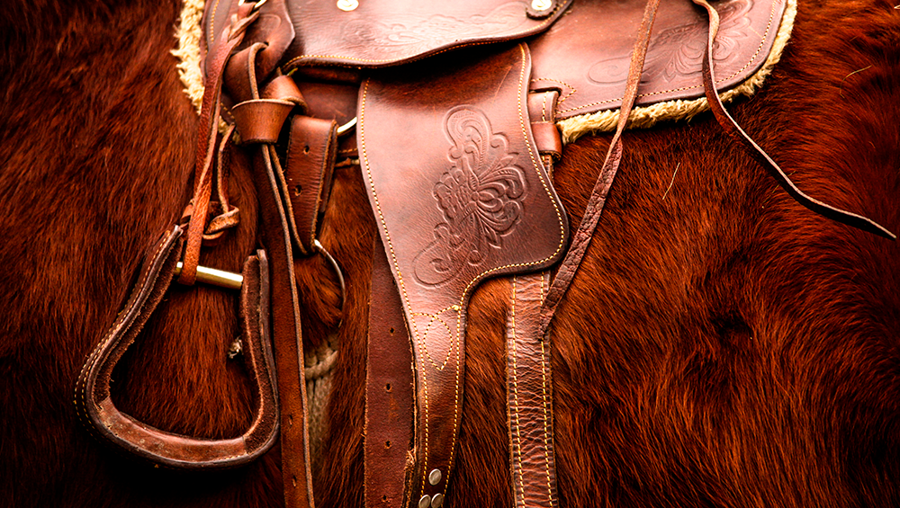 Equipamentos de montaria campeiros essenciais em um ambiente rural com um cavalo e uma sela apropriada