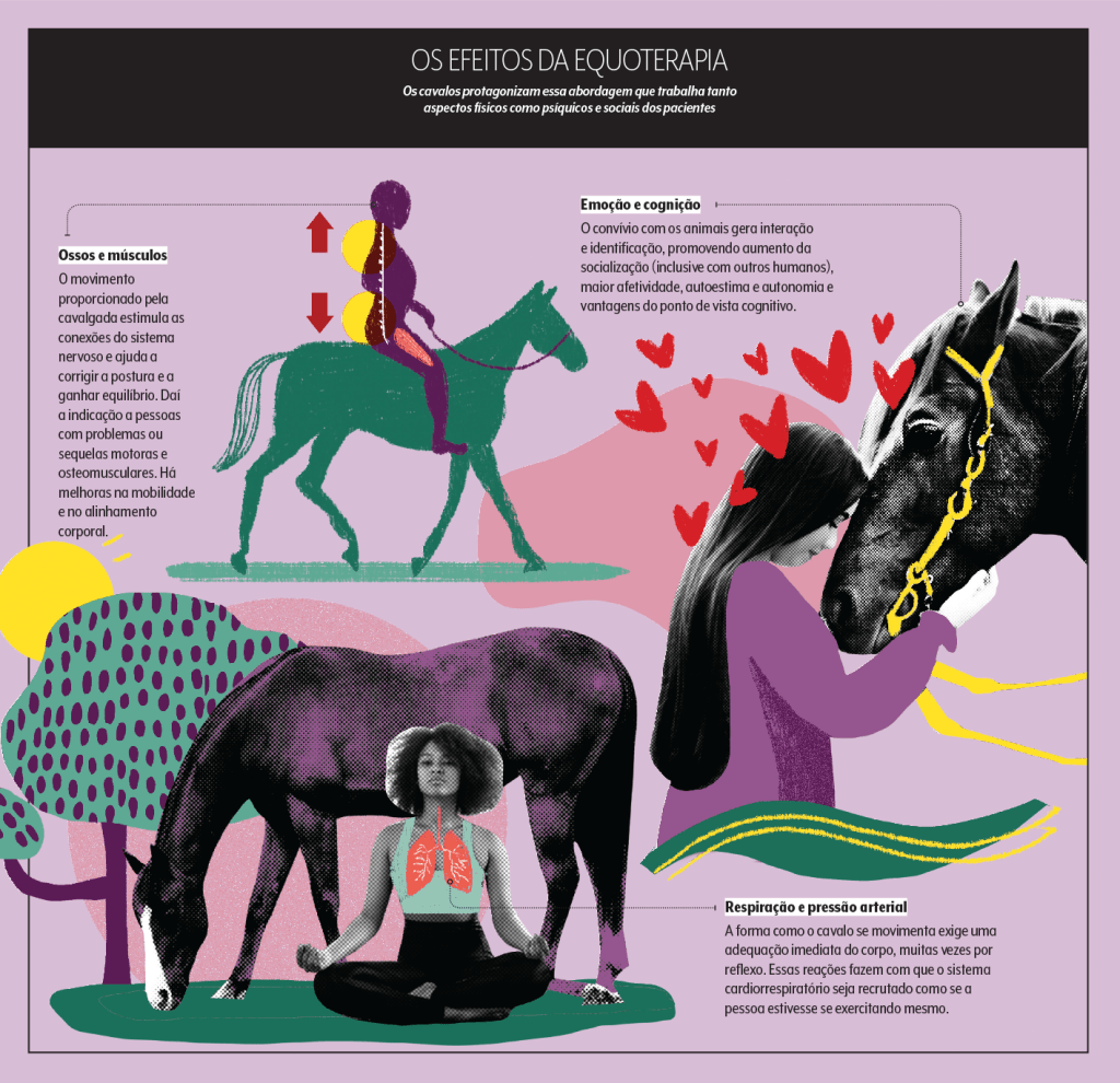 Cavalos utilizados na terapia com pessoas em um ambiente rural