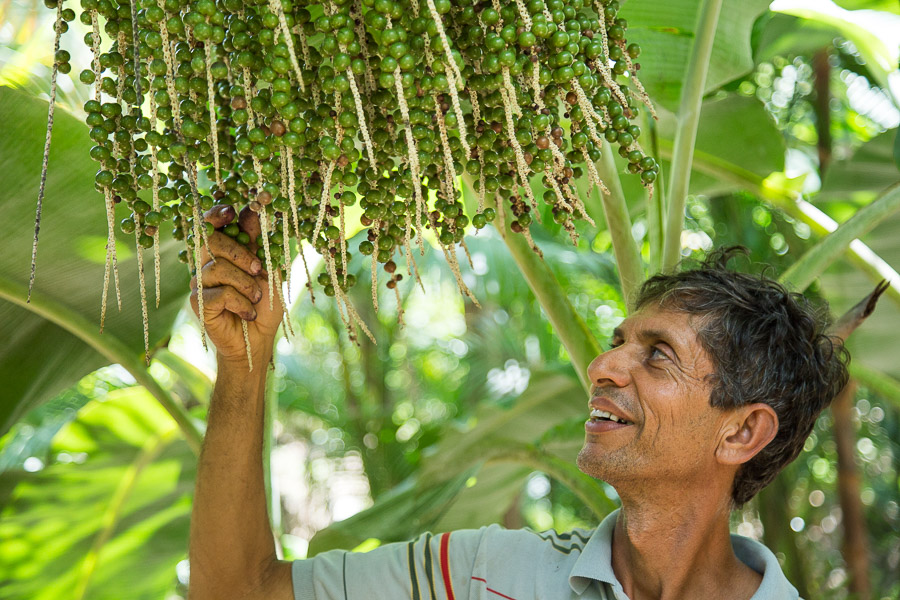 Deliciosos pratos preparados por culinaristas da Fazenda Ouro Fino, refletindo a riqueza da agrofloresta.