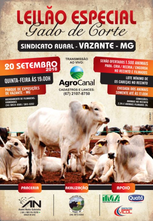 Leilão de gado em Vazante, Minas Gerais, com destaque para gado de corte.