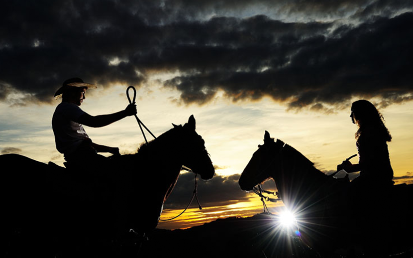 Cavalgadas e passeios a cavalo em uma paisagem rural exuberante