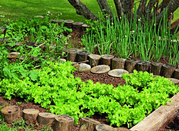 Uma horta caseira com diversas ervas e vegetais cultivados em um espaço country.