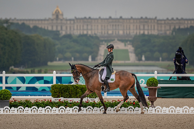 Cavalos de hipismo em competição, simbolizando habilidade e beleza na cultura country
