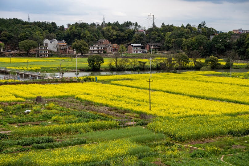 Vista panorâmica de uma cidade rural com campos verdes e céu azul