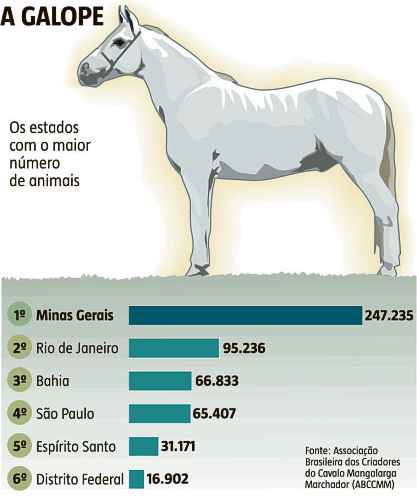 Cavalo em um pasto verde, representando a arte da criação de cavalos.