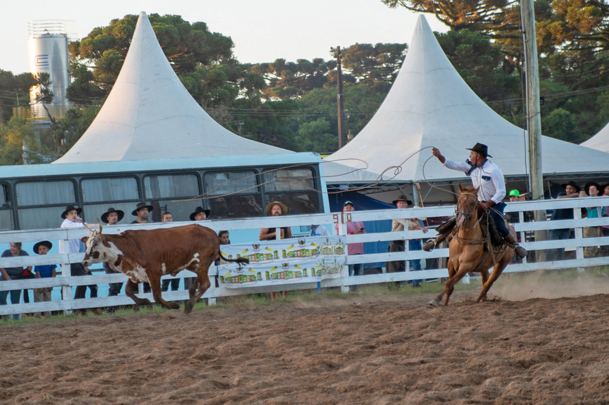 Imagem de um rodeio com competidores montando touros em um ambiente festivo