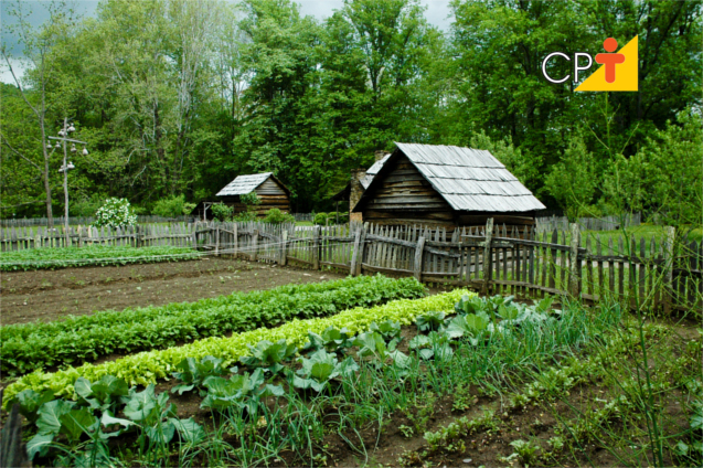 Uma horta caseira cheia de vegetais frescos e saudáveis prontos para a colheita.