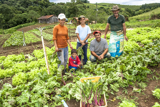 Cultura da Agricultura Familiar no Brasil com representação de um campo verde e rurais em harmonia com a natureza.