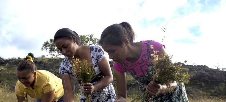 Festa rural brasileira com danças e tradições camponesas