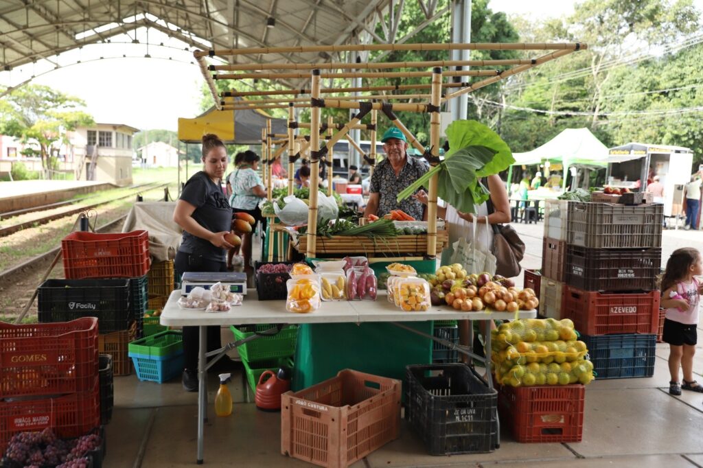Artesanato rural exposto em uma feira, refletindo a cultura e a tradição do campo.