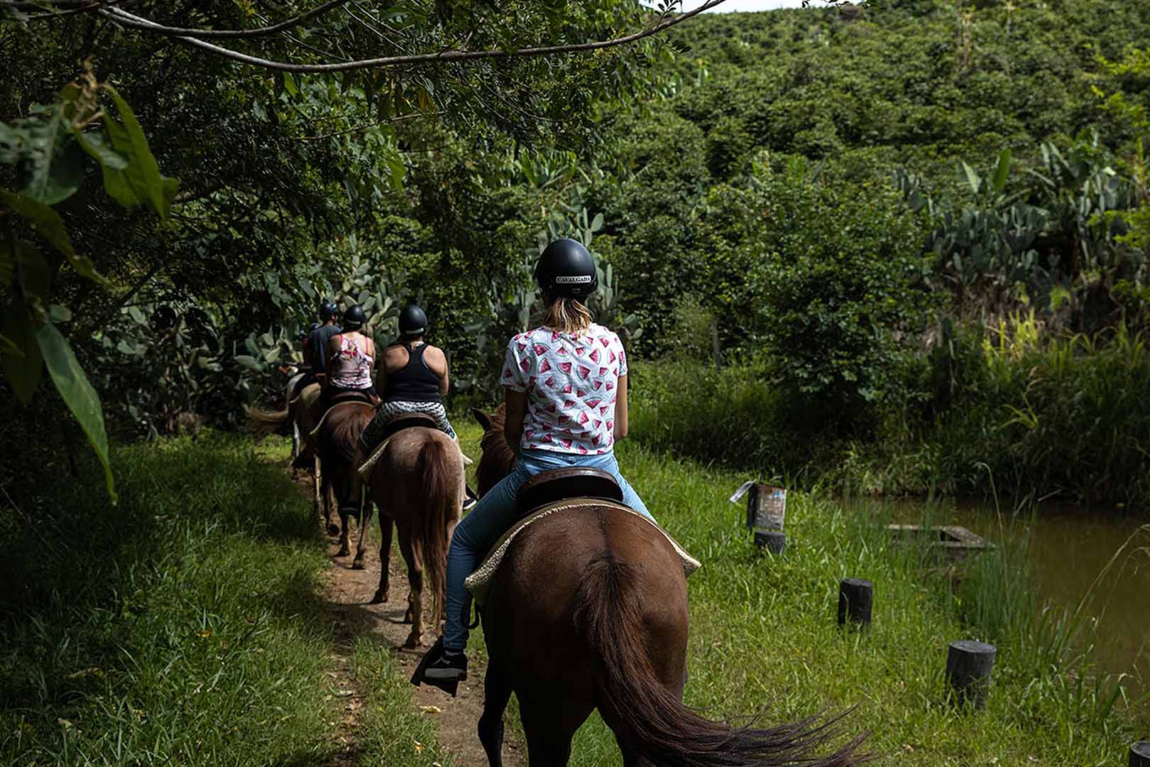 Cavaleiros e cavaleiras em uma cavalgada pela fazenda, rodeados por natureza exuberante.