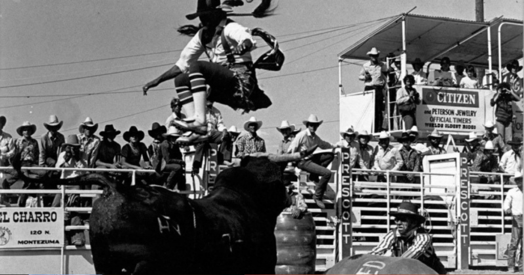 Cavaleiro montando um touro durante um rodeio no Brasil, com público ao fundo celebrando a tradição country.