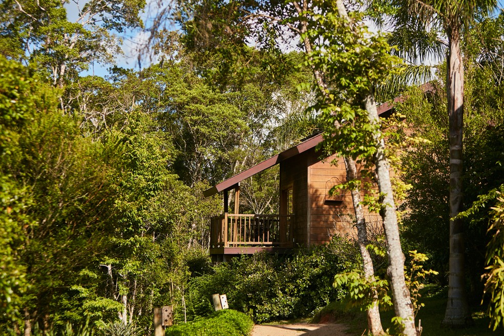 Fazenda em um cenário rural com elementos de turismo sustentável, incluindo pastagens verdes e animais criados de forma consciente.
