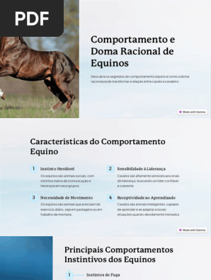 Cavalo sendo treinado com métodos de doma racional em um ambiente country.