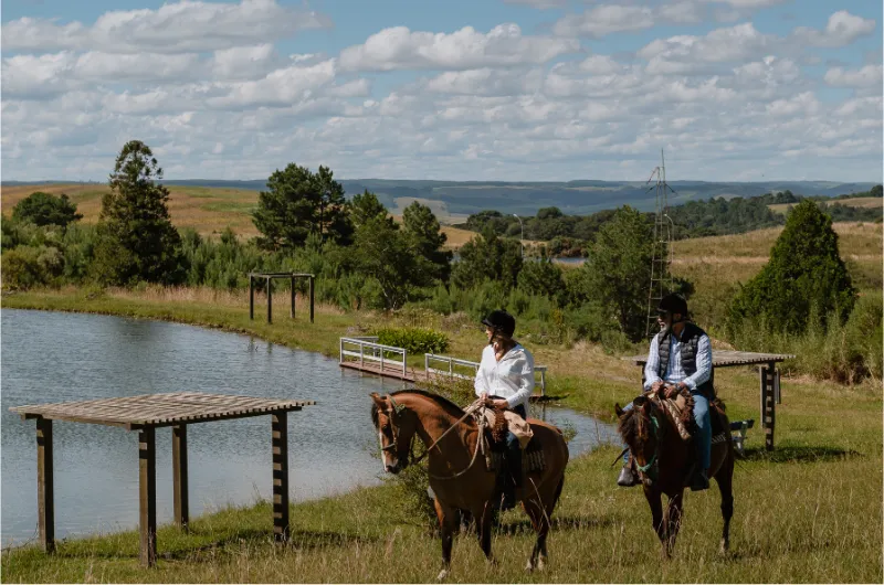 Cavalo pastando em um campo verde ao pôr do sol, simbolizando a beleza das caminhadas a cavalo.