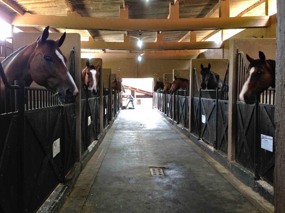 Centro de Equitação na Granja Viana com cavaleiros e cavalos em um cenário country