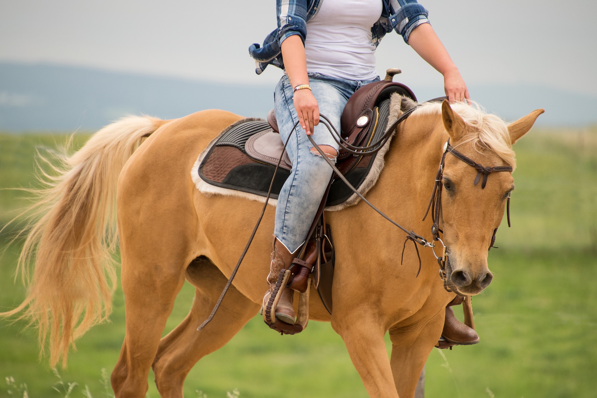 Um cowboy montando um cavalo em um campo aberto com uma paisagem rural ao fundo.