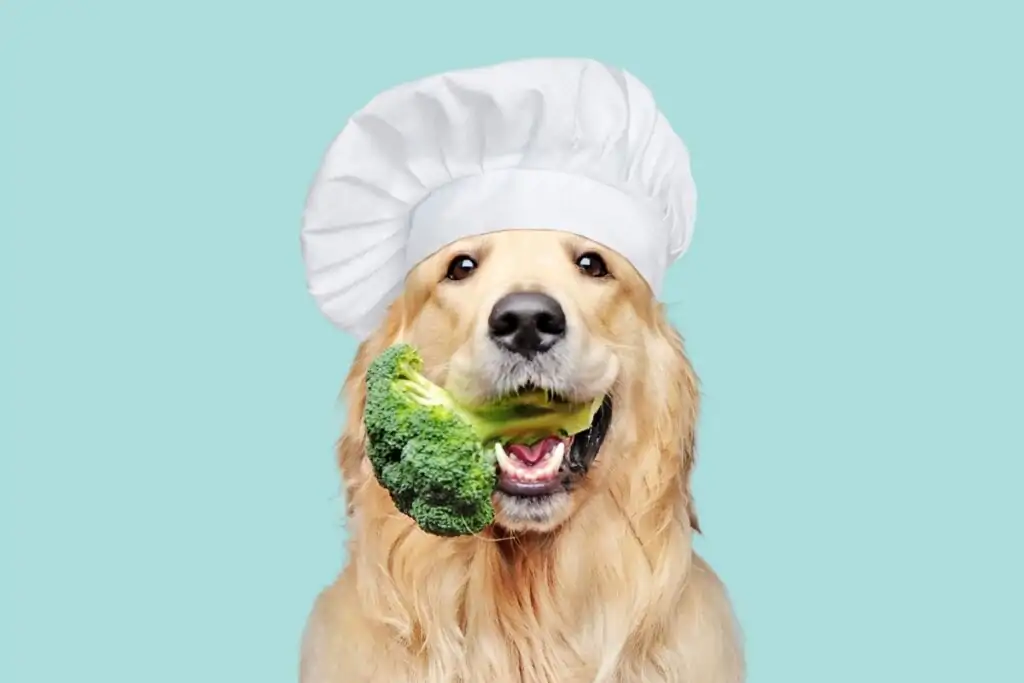 Alimentação natural para animais no estilo de vida country