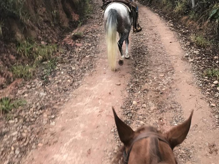 Cavaleiros e amazonas em uma cavalgada pelo campo, rodeados pela natureza.