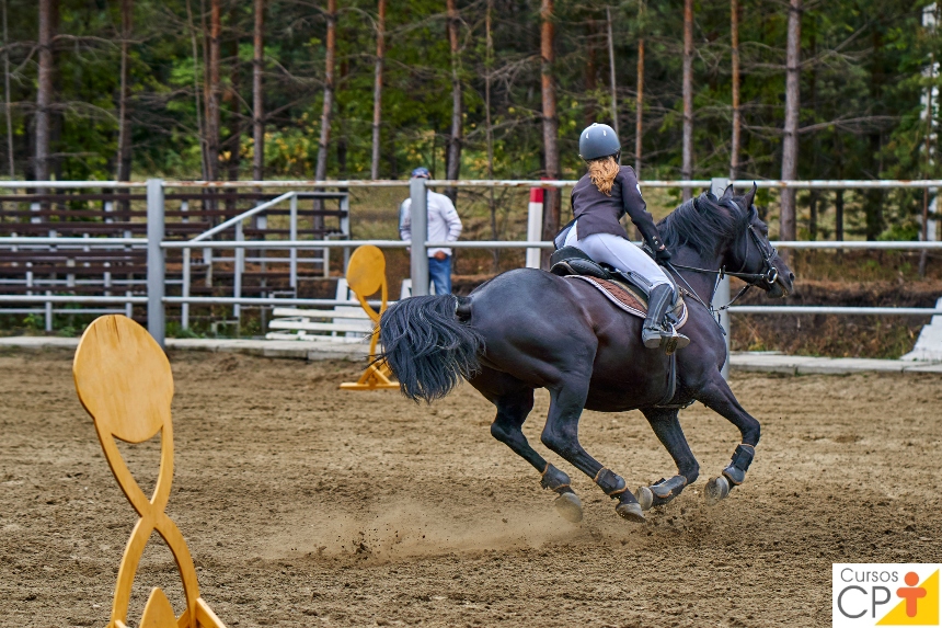 Cavaleiro se preparando para competição equestre em uma pista de rodeio country.