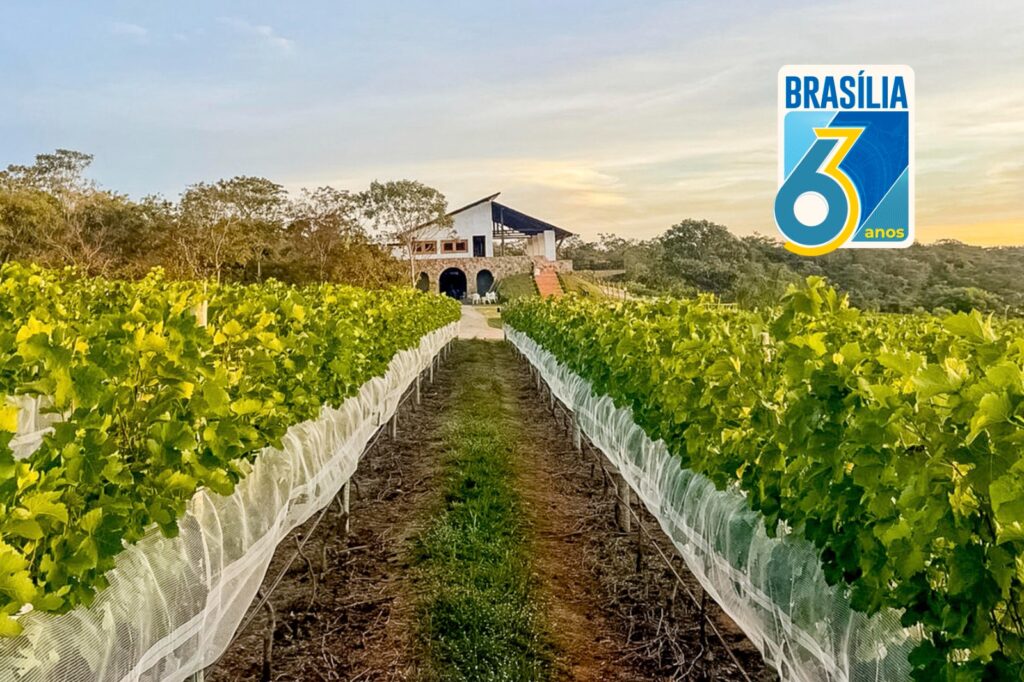 Vista rural de Brasília com pastagens e plantações