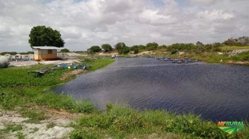 Vista de uma fazenda com rios e lagoas na roça, enfatizando a beleza natural do campo