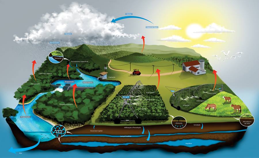 Fazenda com práticas de agricultura sustentável no campo, com pastagens verdes e animais soltos.