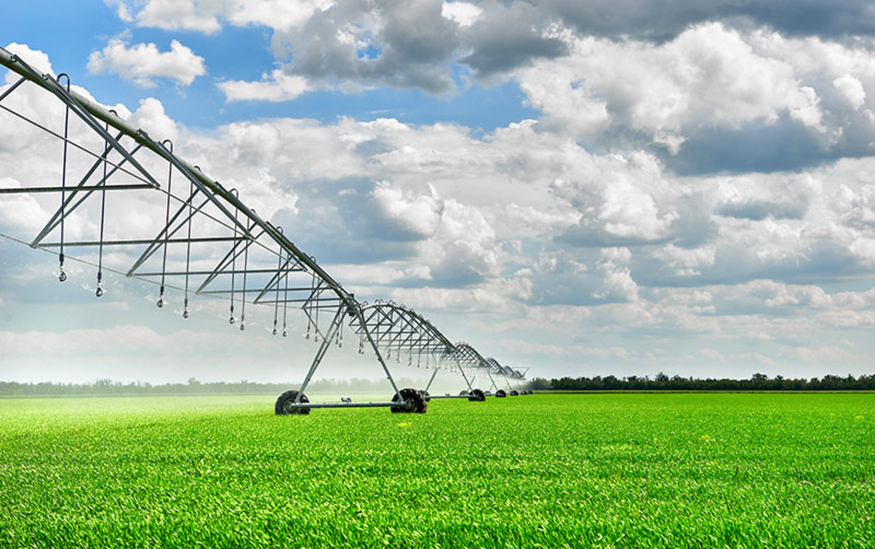 Técnicas de Irrigação em uma fazenda country, com campos verdes e tratores ao fundo.