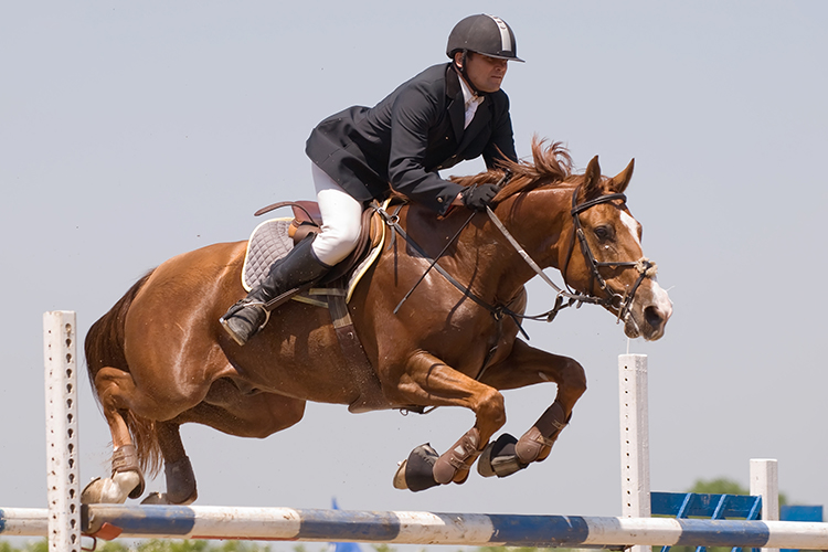 Cavaleiros em competição equestre, demostrando habilidades e paixão pelo esporte.