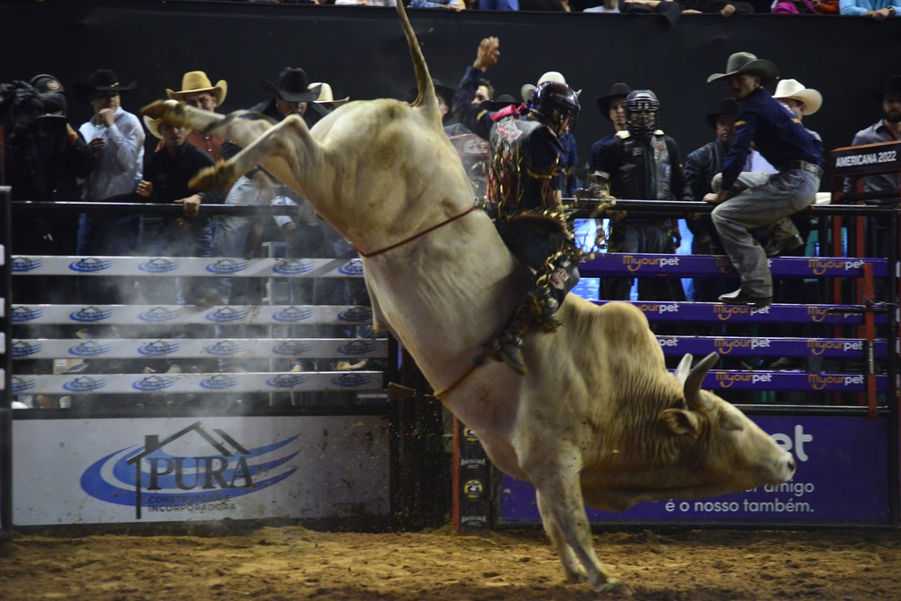 Competição de rodeio com cavaleiros em ação durante a Festa do Peão de Americana.