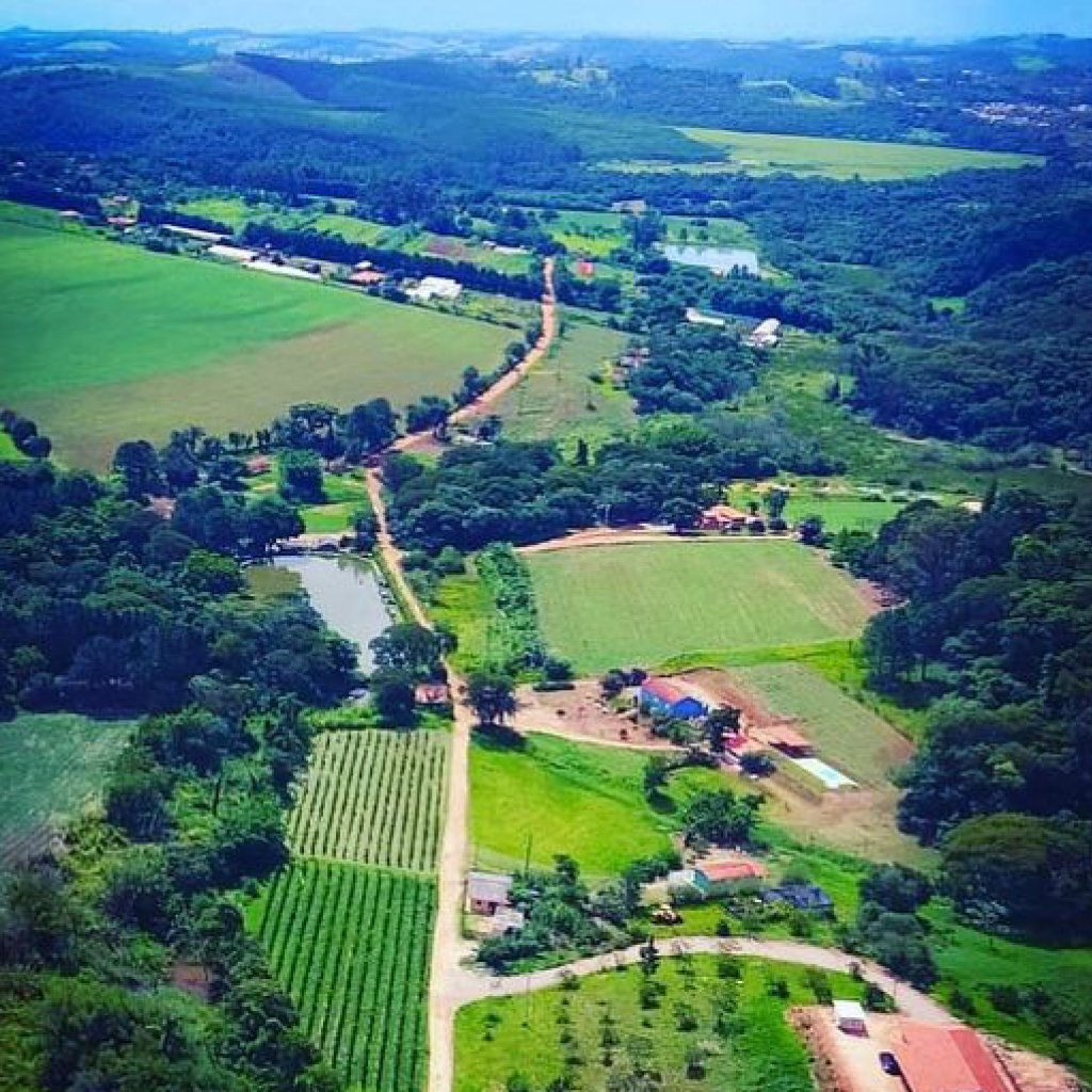 Uma bela plantação de frutas em um cenário country, com árvores frutíferas em um campo aberto sob o céu azul.