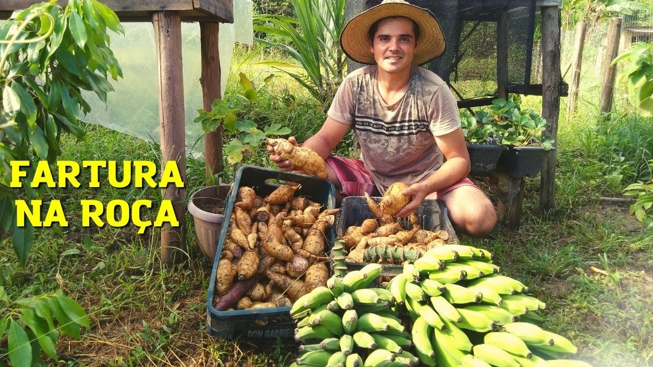 Cenário de roça com plantações saudáveis e equipamentos agrícolas tradicionais