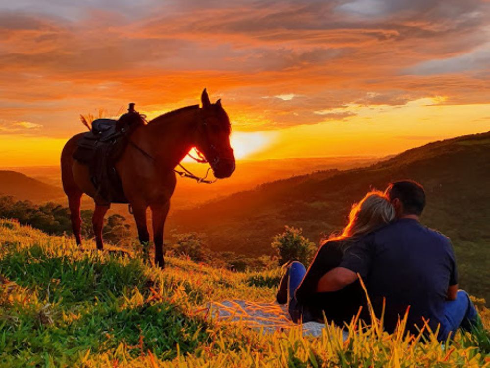 Cavalo em uma trilha rodeada por natureza exuberante