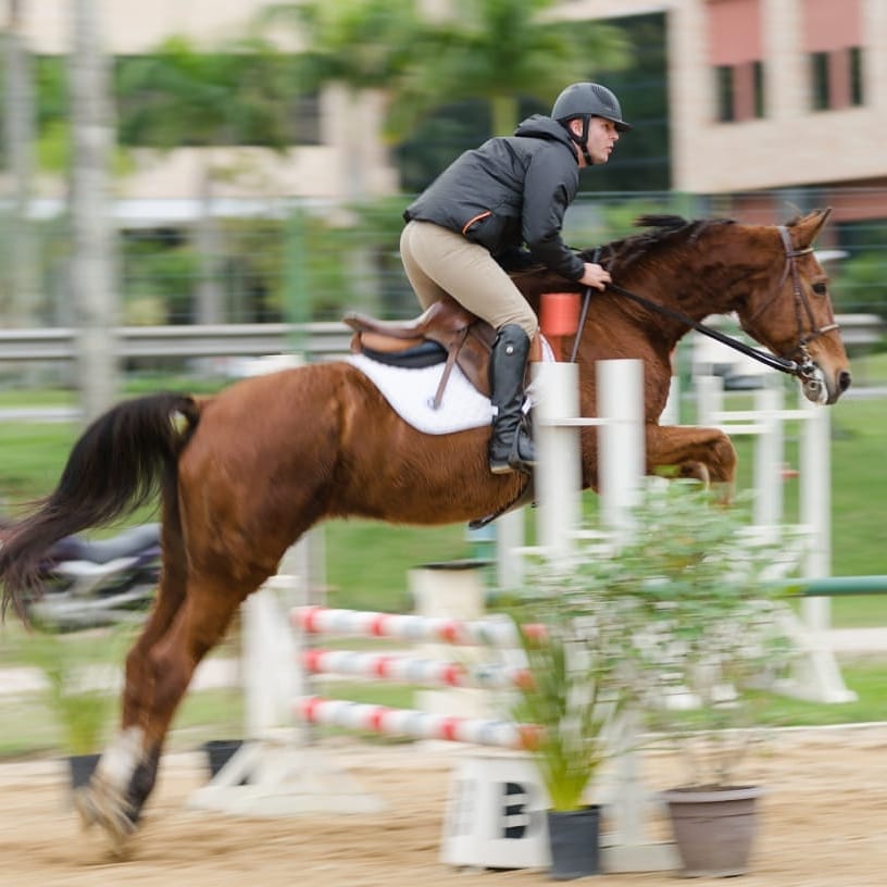 Cavaleira e cavalo em uma pista de hipismo, simbolizando a conexão entre homem e animal.