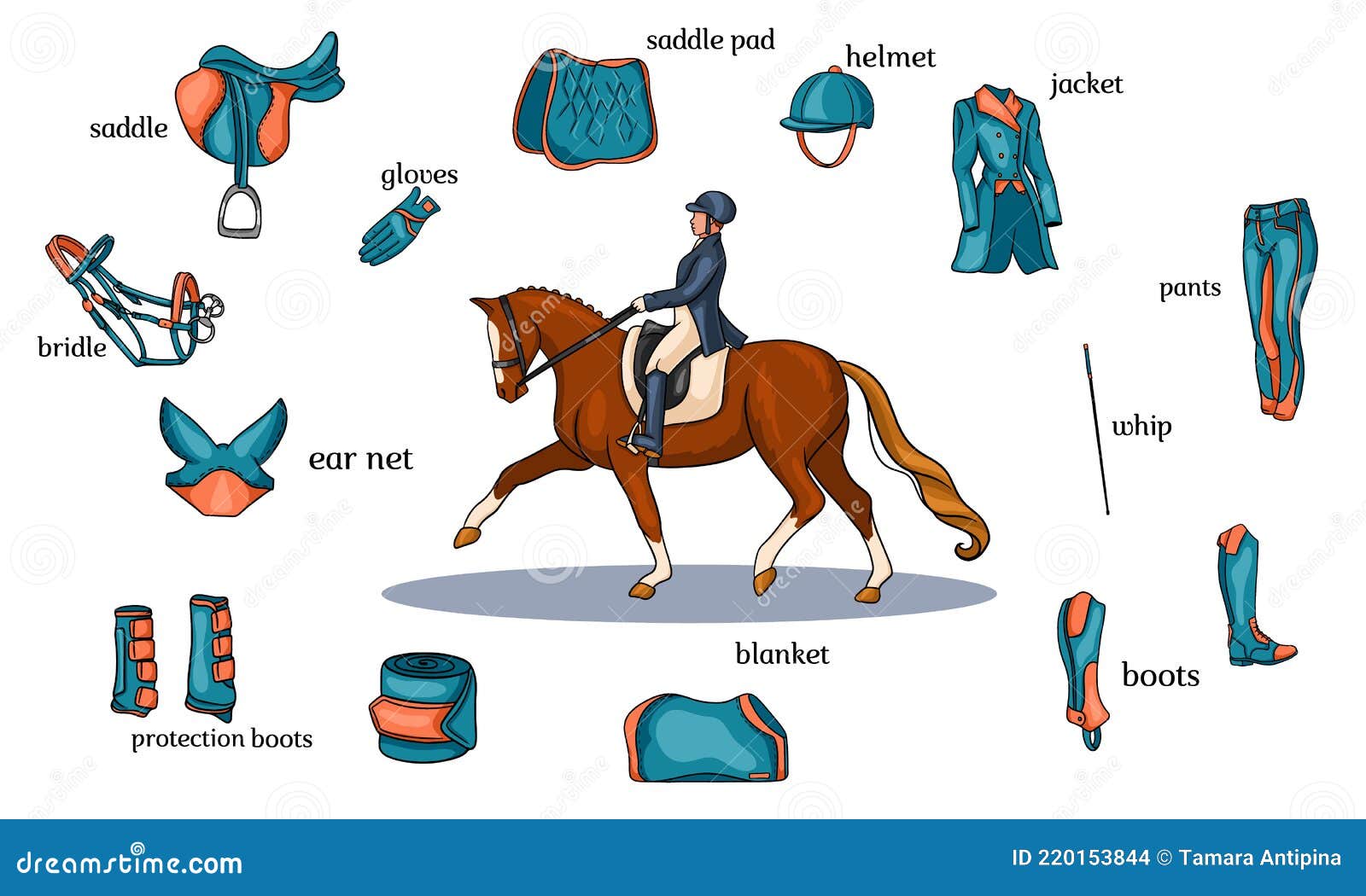 Equipamentos de Equestre para Cavaleiros e Cavalheiros