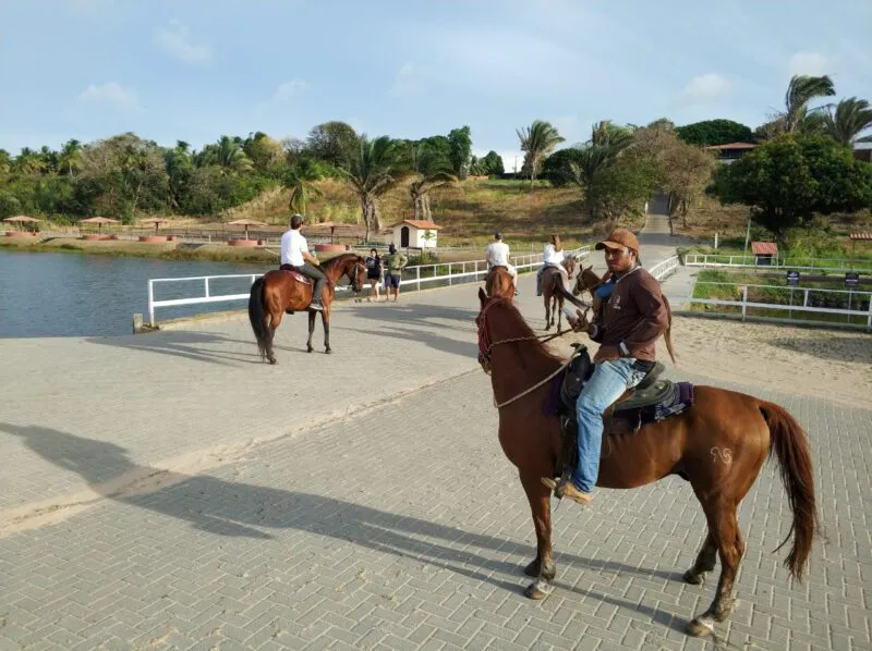 Cavalo galopando em um campo verde sob um céu azul claro, simbolizando a experiência de passeios equestres.