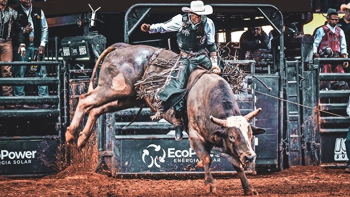 Montaria em touros no rodeio, imagem que captura a adrenalina da competição.