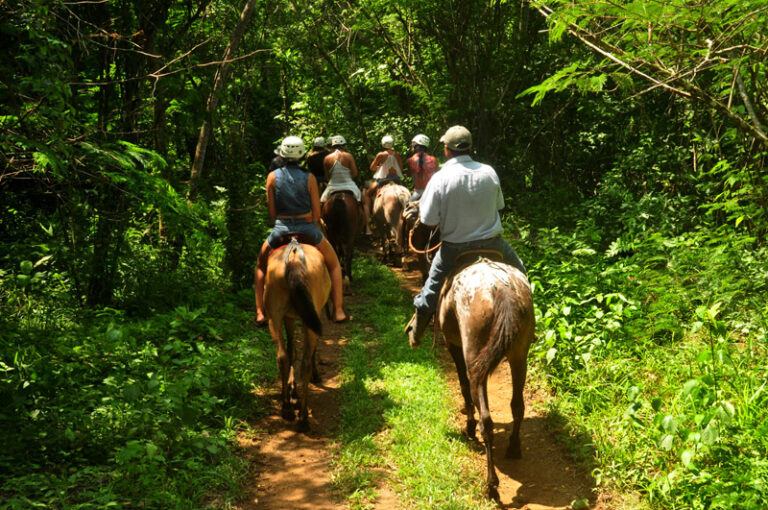 Cavalgada no interior apresentando cavaleiros em paisagens rurais.