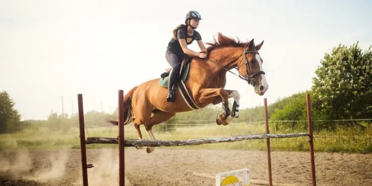 Cavaleiro montando um cavalo em uma paisagem country