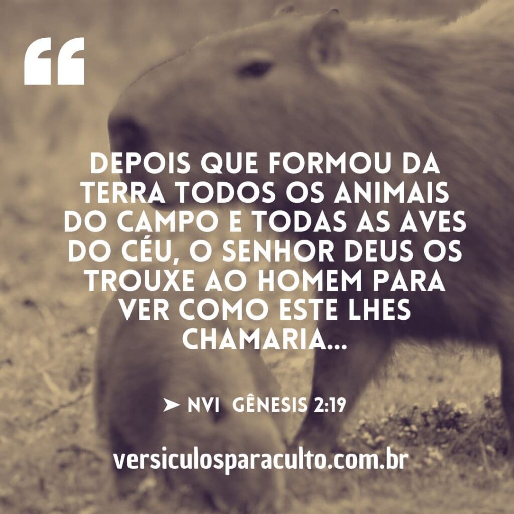 Cuidado e proteção dos animais na natureza.