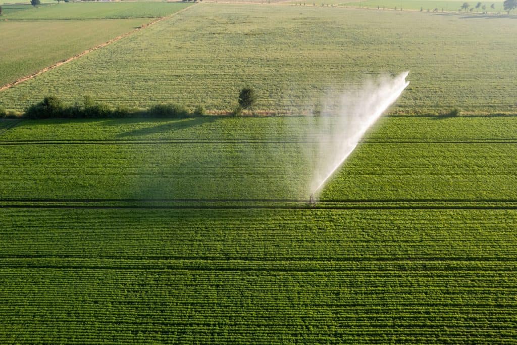 Fazenda com práticas sustentáveis no campo