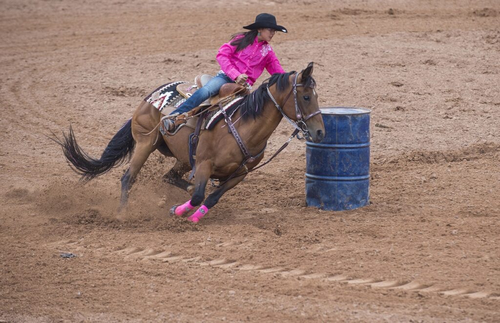 Competição de rodeio com cowboy em ação no Brasil