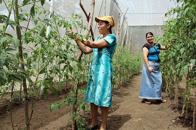 Mulher rural no campo, representando a força e independência feminina no estilo de vida rural.