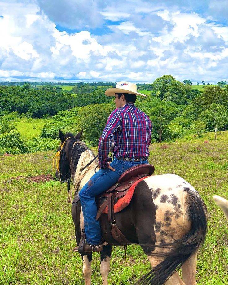 Um grupo de pessoas desfrutando do estilo de vida country em um campo ensolarado, rodeado por pastagens e natureza.